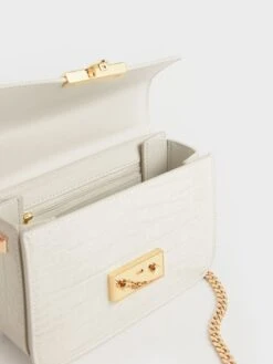 Croc-Effect Chain Strap Crossbody Bag -Charles & Keith 2019 L7 CK2 80700998 4 41 5