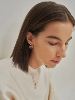 Swarovski® Crystal Stud Earrings -Charles & Keith 2021 L3 CK5 42120284 57 4