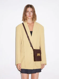 Freida Metallic Accent Elongated Pouch -Charles & Keith 2023 L3 CK2 20271140 29 4