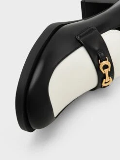 Two-Tone Metallic Accent Block Heel Loafer Pumps -Charles & Keith 2023 L6 CK1 60280401 24 5