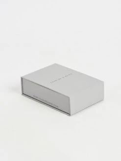 Metallic Beaded Necklace -Charles & Keith 2023 L7 CK5 23220011 07 7